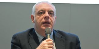 Andrea Gibelli (Fnm)