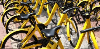 ofo bike sharing