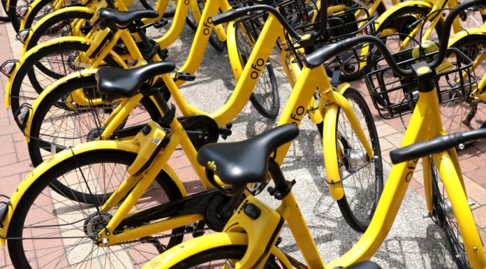 ofo bike sharing