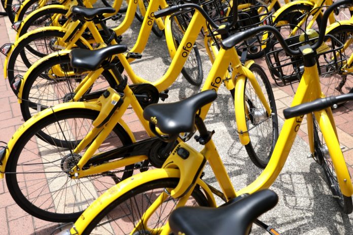 ofo bike sharing