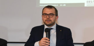 Fabio Rolfi